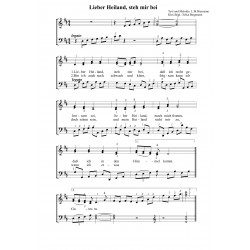 Lieber Heiland, steh