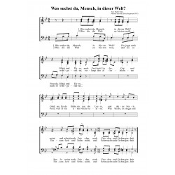 Was suchst du, Mensch,